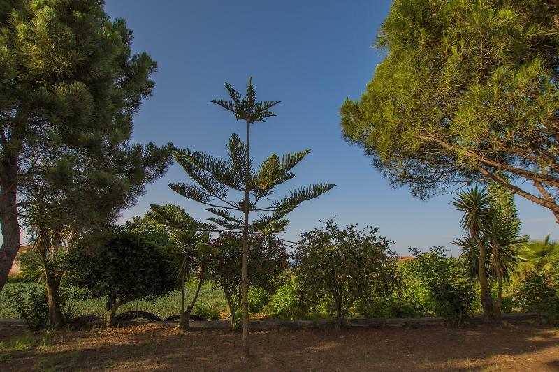 Psarou  Porto Giardino Apartments מראה חיצוני תמונה